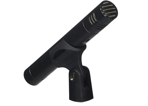 AKG Pro Audio AKG Perception 170 Professional Instrumental Microphone - style: P170