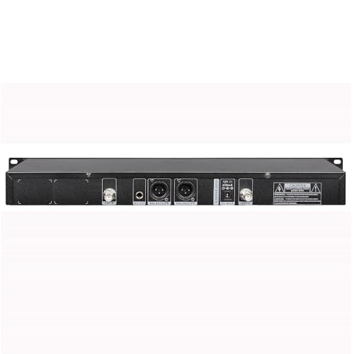 2900S 200 Selectable Frequencies, Professional Dual Gooseneck Desktop Microphone System Wireless Condenser Microphone Set for School Church, Business Meeting