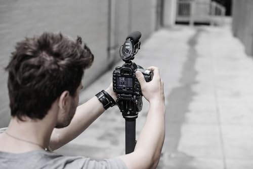 Shure VP83F LensHopper Camera-Mounted Condenser Shotgun Microphone with Integrated Digital Flash Recording - Windscreen, Superior RF Immunity, Backlit LCD, 5-Position Joystick, Rycote Lyre Shock Mount - style: Integrated Flash