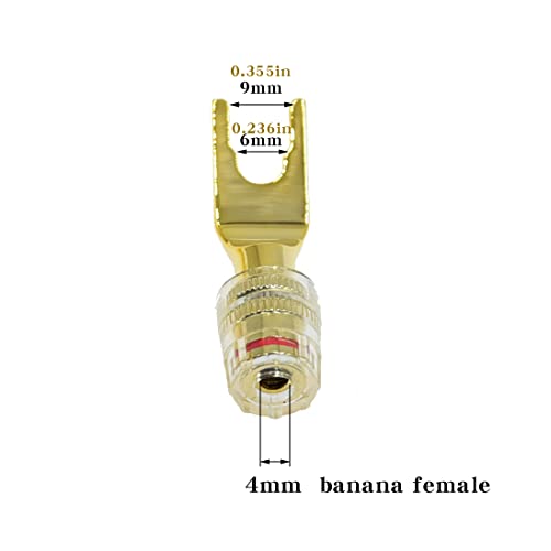 Arklove 8팩 Y에서 바나나 암 Y-타입 커넥터 데드볼트 플렉스 바나나 어댑터 플러그 4mm 암 바나나 잭 센터 서라운드 와이어 스프링 장착 스피커용