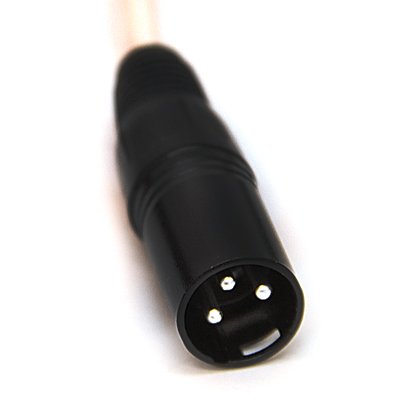 Seismic Audio - SAXQ-24x4x50 - 24 Channel 50' XLR Snake Cable with XLR and 1/4" Returns on the Box - size: 50 Foot - 24 Send x 4 Return