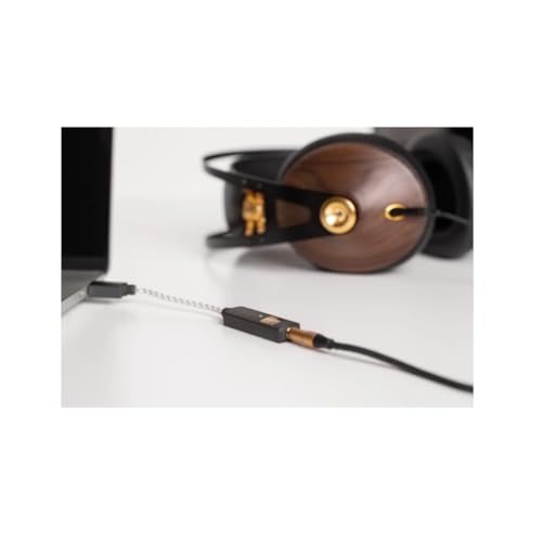 iFi GO Link - Portable DAC & Headphone Amplifier-USB - C to 3.5mm Adapter | Improve Sound from any Device - Gold-plated 3.5mm Headphone Socket – Supports Hi-Resolution 32-bit/384kHz/DSD256/MQA
