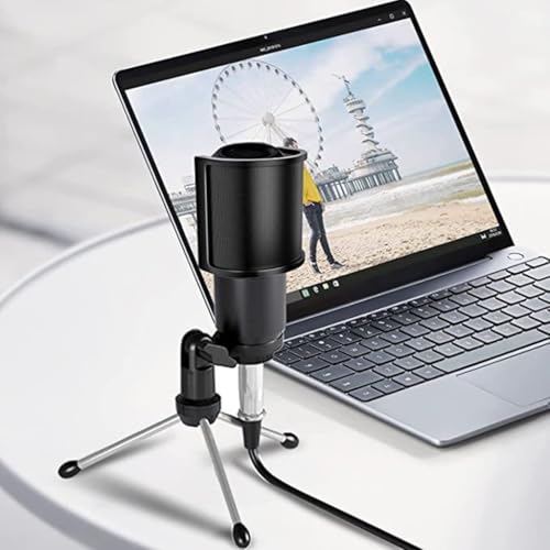 Micrphone Popping Filter Microphone Popping Protective Covers Double Layer Windshield Windscreen For Studio Po