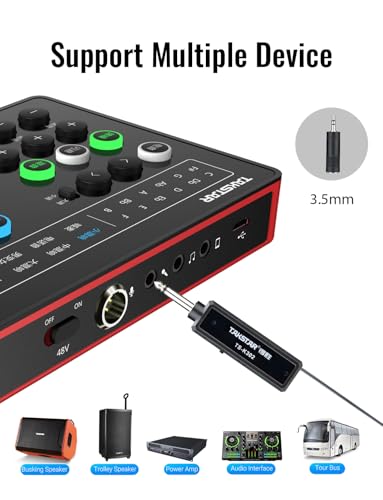 TAKSTAR TS-K302 UHF Dual Wireless Microphone, Plug & Play PA Speaker