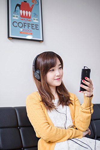 Sony MDR-ZX110AP
