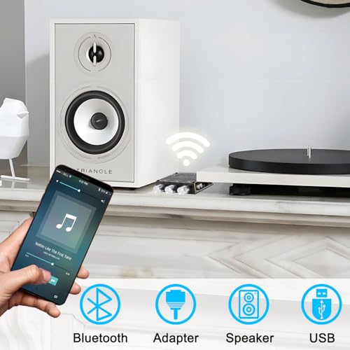 ZK-1002T Bluetooth Audio Amplifier Board,100W×2Power Amplifier,DC12-24V Bluetooth Audio Power Amplifier Board, Board with Treble and Bass Control,Supports AUX/Bluetooth - size: ZK-1002T