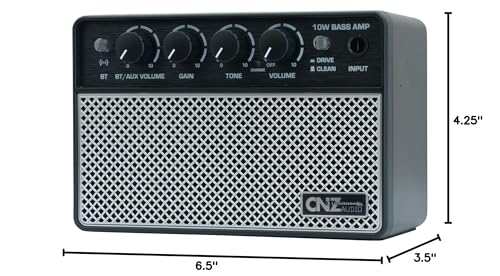 Rechargeable Wireless BT Mini Bass Guitar Amplifier 10 Watt Practice Amp 10,000Ah Battery, BT or Aux Input, Headphone Out, Clean, Gain, Tone & Volume Knobs, Dual Full Frequency Speakers