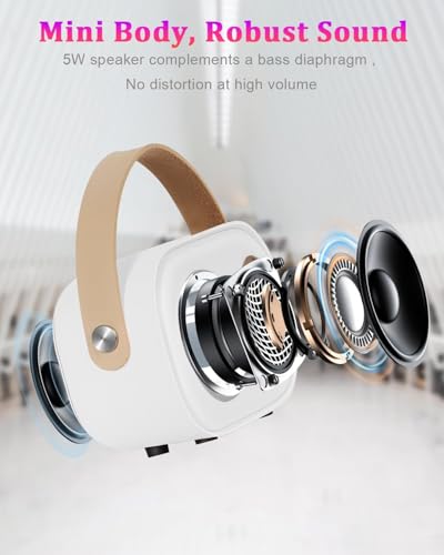 PRUNUS C20 Mini Karaoke Machine,Portable Bluetooth Speaker with 2 Wireless Microphone for Boys Girls 3-12+ Years Old Birthday Party White - color: C20-White