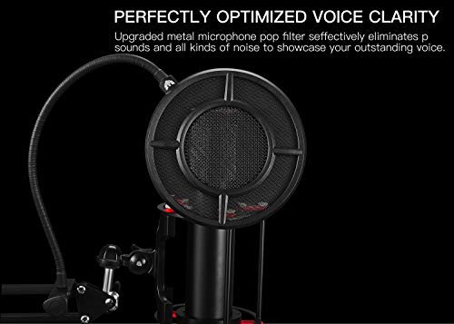 Mic Pop Filter, Professional Metallic Mic Pop Filter Mesh for Blue Yeti and Any Other Mic, ARISEN Dual Layered Microphone Pop Filter, Mic Filter with A Flexible 360° Gooseneck Clip Stabilizing Arm