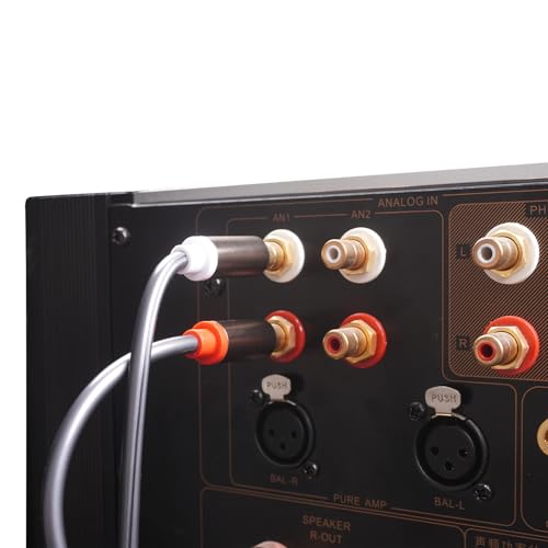 RCA to XLR HiFi Audio Cable 16 Feet, 2 RCA Male to 2 XLR Male, Black with Red/Black Tail, 4N OFC Wire and Gold-Plated Conductors for Amplifier, Mixer, Microphone - size: 16FT, style: 2 RCA Male to 2 XLR Male