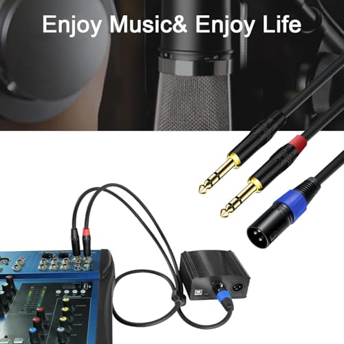 6.35mm Dual TRS to XLR Male Cable for Microphone, Mixer, Amplifier, 3.3 FT, Dual1/4 TRS to XLR Audio Cable, Y Splitter Patch Cord, 3-Pinxlr to Dual 1/4 Male Converter Adapter Cable - size: 3.3Ft, 1Pack, style: Dual 1/4 to XLR Male