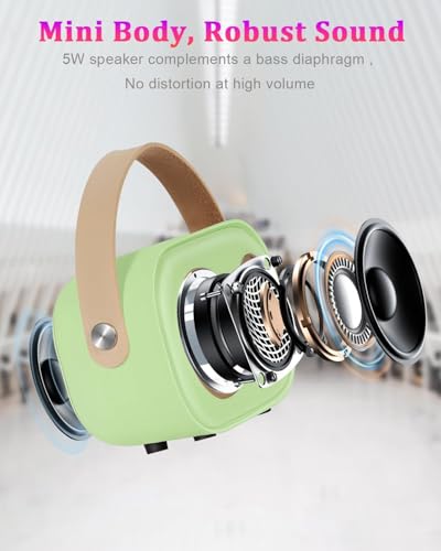 PRUNUS C20 Mini Karaoke Machine,Valentines Day Gifts Her Him Kids Mens - color: C20-Green