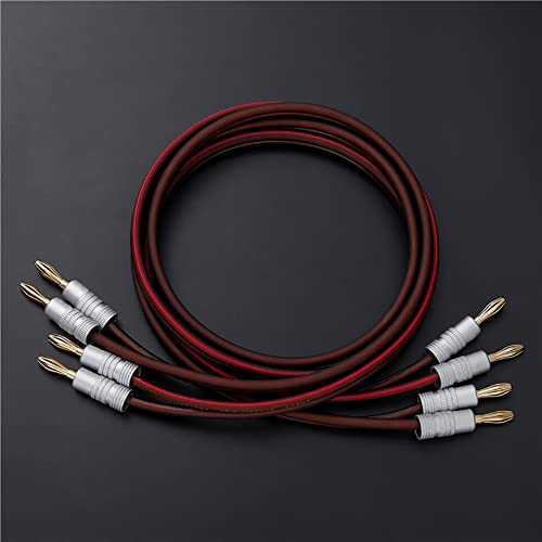 Audiophile Grade Speaker Cable with Gold Plated Banana Plugs,Oxygen-Free Copper (OFC) 13AWG, (3.3 Feet 1 M), Pair…… - size: 3.3 ft