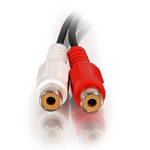 Legrand - C2G 3.5mm Male to RCA Female, Stereo Audio Extension Cable, Audio Y-Adapter Cable, 6 Foot Dual RCA to 3.5mm Adapter, 1 Count, C2G 40370