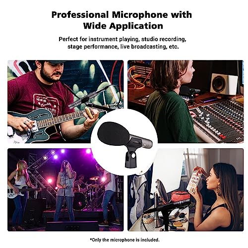 TAKSTAR CM-60 XLR Cardioid Condenser Studio Mic, Instrument Microphone