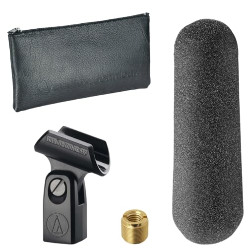 Audio-Technica AT875R Line and Gradient Condenser Microphone(Renewed)