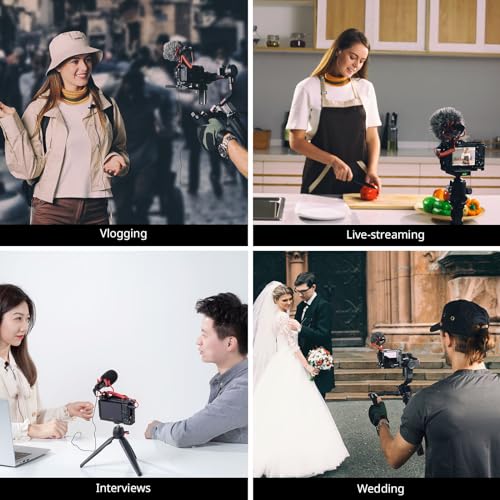 SMALLRIG Shotgun Mic for Camera, Video Microphone for DSLR & for iPhone, Camera Microphone for Sony and for Canon, with Shock Mount, Deadcat Windscreen, Dual Channel for Vlogging and Interview