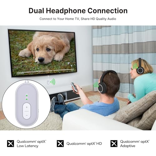 Bluetooth 5.3 Transmitter Receiver, Double Connection Receiver 3.5mm Aux Audio Adapter with RCA Cable, 2-in-1 Airplane Wireless Bluetooth, aptX Adaptive/Low Latency for TV, Home Stereo, Headphone - color: Grey