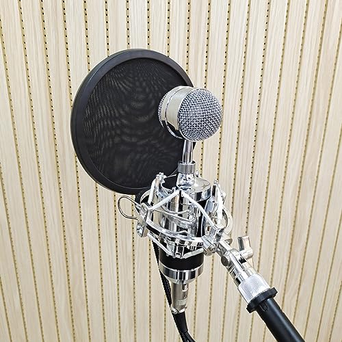 Double Layer Microphone Mic Shield with Swivel Mount for Recording