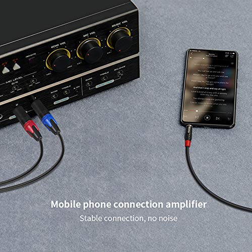 1/8 Inch to Dual XLR Male Y-Splitter Cable,Unbalanced 3.5mm Mini Jack TRS Stereo Aux to Double Male XLR Adapter Interconnect Breakout Patch Cord - 10 Feet/3 Meters - size: 10 Feet