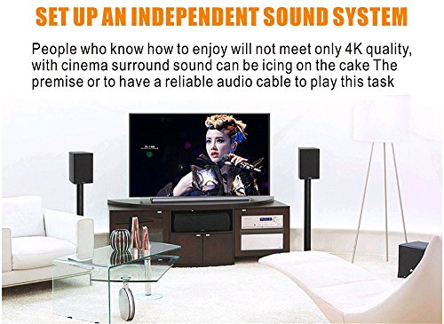 QiCheng&LYS RCA to RCA AV Camcorder Video Cable,3RCA Male to 3RCA Male Plug Stereo Audio Video AUX Cable for Smartphones,MP3, Tablets,Speakers,Home Theater - 3RCA to 3RCA with Shield 3m - size: 3RCA to 3RCA with Shield 3.0m
