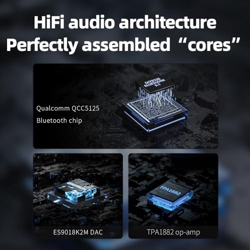 FiiO BR13 HiFi Bluetooth 5.1 Music Receiver Long Range Bluetooth Adapter with USB DAC, LDAC/aptX Low Latency, OLED Display & RCA Optical Coaxial Output for Home Stereo,PC/TV