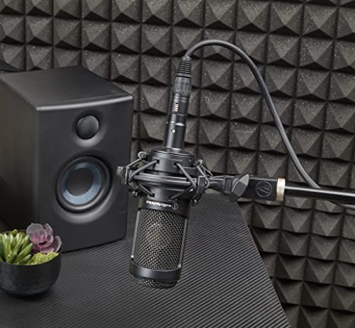 Audio-Technica AT2035 Large Diaphragm Studio Condenser Microphone (Renewed)