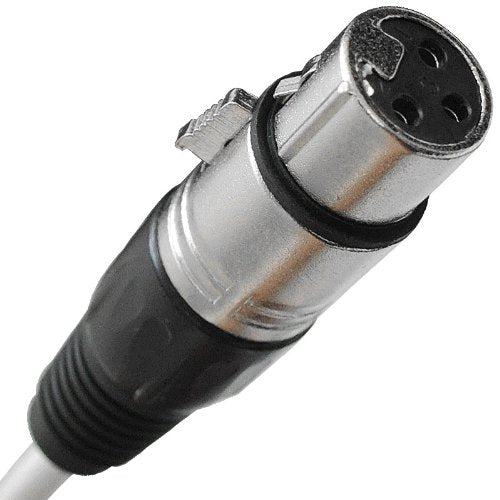 Seismic Audio - SAXQ-16x8x25 - 16 Channel 25' XLR Snake Cable with XLR and 1/4" Returns on the Box - size: 25 Foot - 16 Send x 8 Return