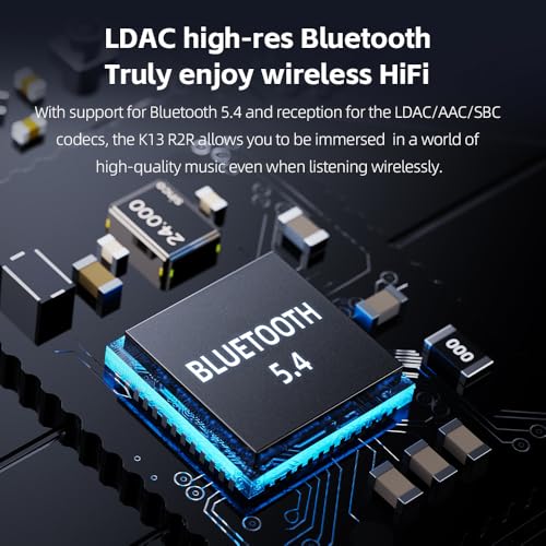 FiiO K13 R2R Desktop DAC & Headphone Amp, High-Fidelity 24Bit R2R DAC, Powerful 2400mW Output, LDAC Bluetooth Streaming, Dual Power Supply, 10-Band PEQ, Balanced XLR & RCA Audio Output (Silver) - color: Silver