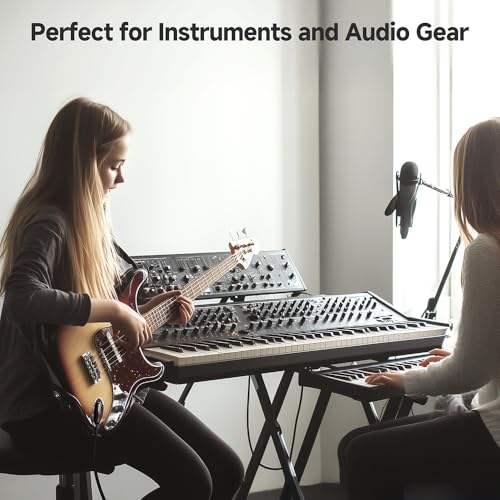 Cable Matters Dual 1/4 Inch TS to Dual RCA Cable, 6ft | 1/4 Inch to RCA Stereo Audio Interconnect Cable, for Audio Equipment - size: 6 Feet