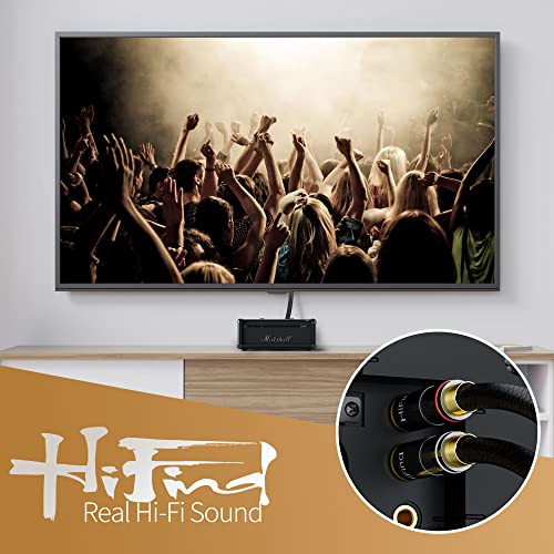 HiFind RCA Cable 4 Ft (Real Hi-Fi Sound-Silver Plated Copper- Spring SR-Shielded) 2 RCA Male to 2 RCA Male Stereo Audio Cable, Gold Plated, Copper Shell, Braided RCA Cord for Home Theater Speakers - size: 4 FT