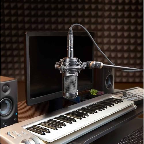 Audio-Technica AT2035 Cardioid Condenser Microphone for Content Creators, Streamers, Podcasters and Musicians Bundled with XLR Cable + Pop Filter + Microphone Arm (4 Items) - style: w/ Microphone Arm
