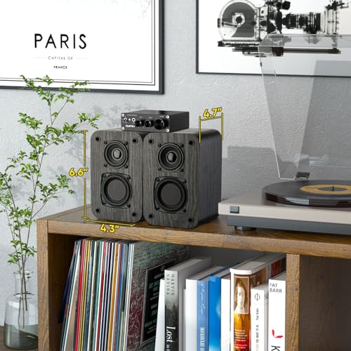 RIOWOIS Passive Bookshelf Speakers for Home Theater Surround Sound, Satellite Stereo Speakers with Crisper Sound and Classic Wood Grain for Record Player/Computer/TV, Wall Mountable, One Pair. | 6Ω, 2.75" Woofer, Silk Dome Horn Tweeter, Cables not Include