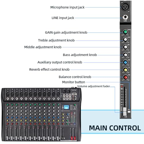 Depusheng DT12 Studio Audio Mixer 12-Channel DJ Sound Controller Interface w/USB Drive for Computer Recording Input, XLR Microphone Jack, 48V Power, RCA Input/Output for Professional and Beginners
