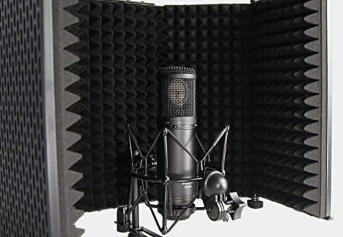 Tascam TM-AR1 Microphone Reflection Filter
