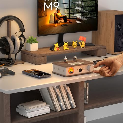 Douk Audio Tube Headphone Amp: for XLR, 4.4mm, 6.35mm HiFi Headphones, Stereo Preamplifier for Amplifiers, Speakers, Home Desktop Audio System, with VU Meter & German Valvo Vacuum Tubes (E2)