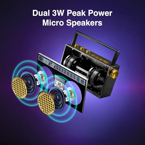 Portable Bluetooth Speakers, Retro Speakers Bluetooth Wireless Wearable | Mini Bluetooth Boombox with 27” Neck Chain, FM Radio, On-Board Buttons, Dual 3W Peak Power Bluetooth Speaker for Anywhere - color: Black/ Gold