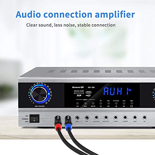 1/4 inch TRS Stereo Y-Splitter Insert Cable, 1/4 Inch Male Jack to Dual 1/4inch(6.35mm) Male TS Mono Breakout Cable Audio Patch Cord - 3.3 Feet/1 Meter