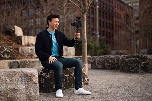 SENNHEISER Professional MKE 200 Directional On-Camera Microphone with 3.5mm TRS and TRRS Connectors for DSLR, Mirrorless & Mobile,Auxiliary | Supercardioid microphone with built-in windscreen and shock mount for vlogging, cameras and smartphones