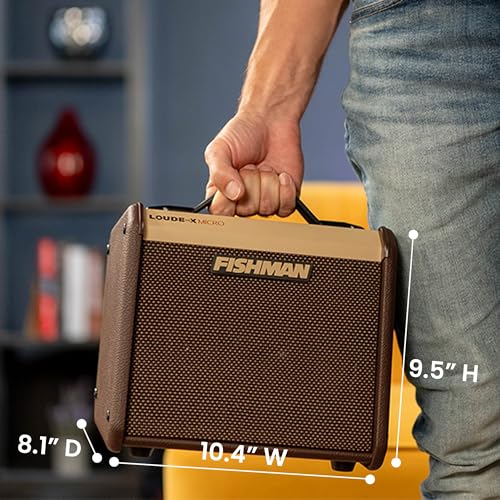 Fishman Loudbox Micro 40-Watt Acoustic Guitar Combo Amplifier Bundle with Gearlux XLR Cable, Instrument Cable, and Austin Bazaar Polishing Cloth - size: Micro 40W