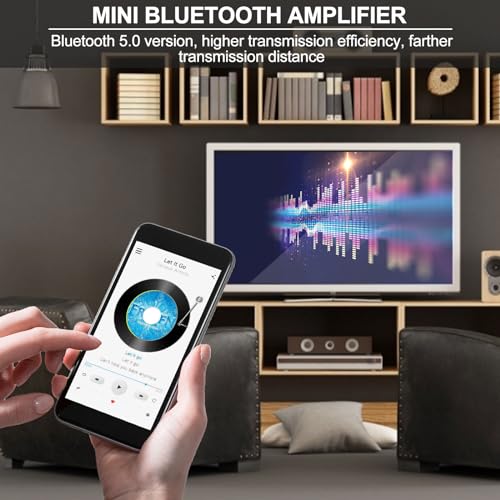 Mini Amplifier Board Bluetooth Amplifier 2.0 2X100W 5V-24V Audio Power Amplifier Module for Store Home Theater Speakers (ZK-1002L)