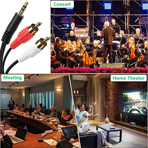 3.5mm Stereo Male to 2RCA Male (Right and Left) RCA Audio Cable (6 Feet) - size: 6 Feet