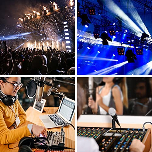 XLR Cable 2 FT 10 Pack, Braided Mic Cable XLR Male to Female, Microphone Cable 3 Pin Balanced XLR Cable Compatible with Speakers, Microphones, Stage Lighting and More - style: 2Feet-10Pack