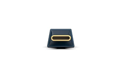 iFi GO Link 2 Max USB DAC Headphone Amp, Dual ESS Sabre