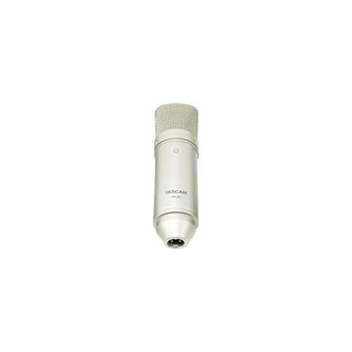Tascam TM-80 Large Diaphagm Condenser Microphone,Silver