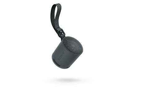Sony SRS-XB100 Wireless Bluetooth Portable Lightweight Speaker, Black | 16 Hr Battery, Super-Compact Travel Speaker, IP67 Waterproof & Dustproof Shower Speaker, Versatile Strap, Hands-free Calling - color: Black