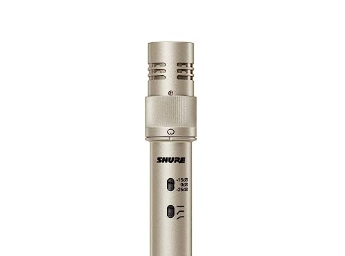 Shure KSM141/SL Dual-Pattern End-Address Condenser Studio Microphone, Champagne - style: Single