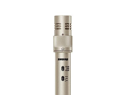 Shure KSM141/SL Dual-Pattern End-Address Condenser Studio Microphone, Champagne - style: Single