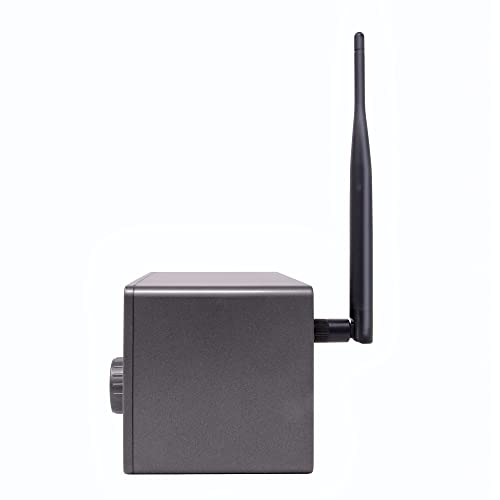 C. Crane CC WiFi 3 Internet Radio with Skytune, Bluetooth Receiver, Clock and Alarm with Remote Control, Access to Thousands of Radio Stations Worldwide - size: Small bedside