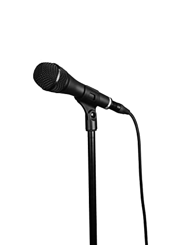 Beyerdynamic TG V70 Professional Dynamic Hypercardioid Microphone for Vocals - style: No Switch